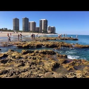 Meet your Posher, Joy